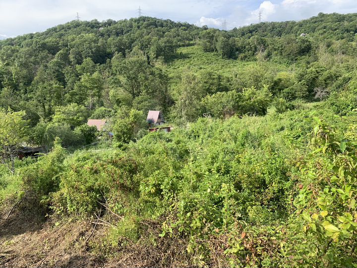 Участок 5 сот. (СНТ, ДНП)