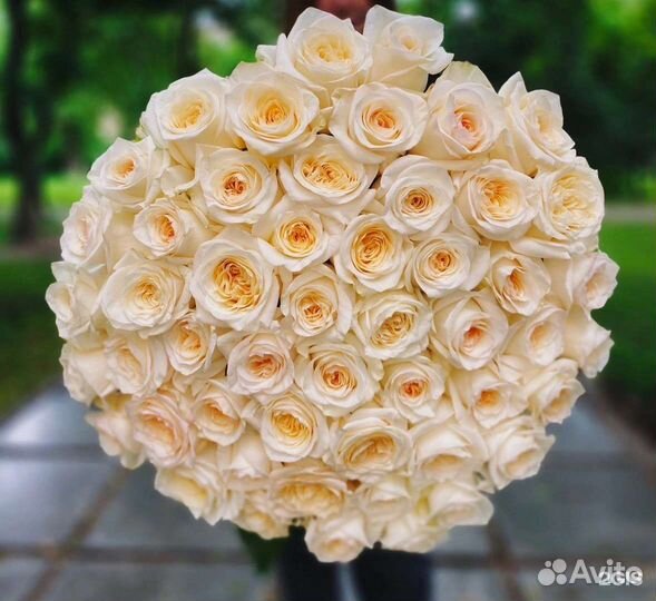 Цветы розы букет