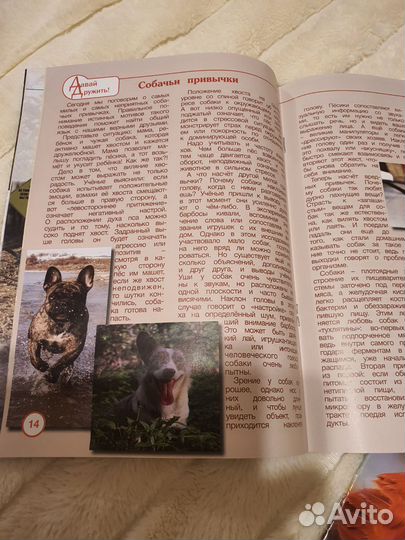 Журналы про животных