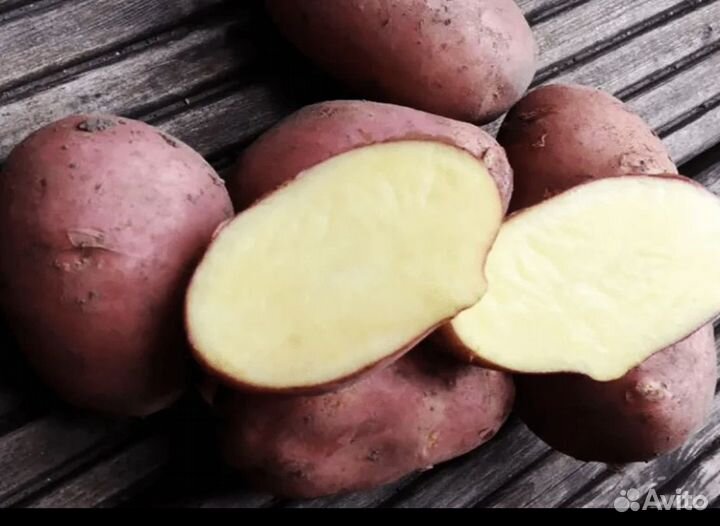 Продам картофель., лук, морковь.Опт, розница