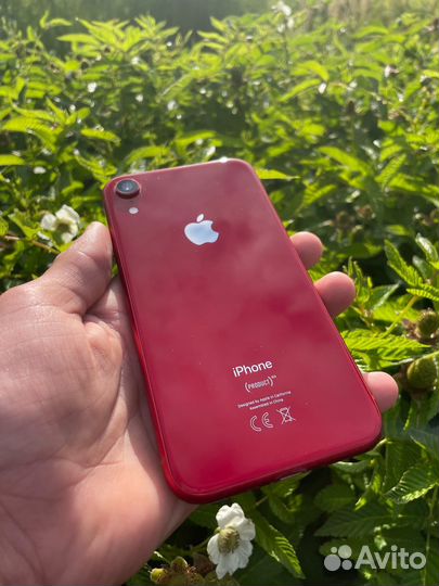 iPhone xr 64gb red