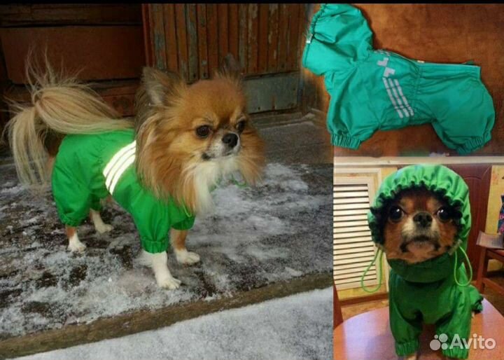 Собакам одежда, шапки, шлейки,миски