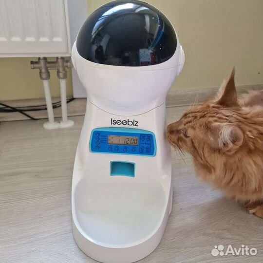 Кормушка автоматическая Iseebiz