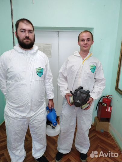 Убрать плесень