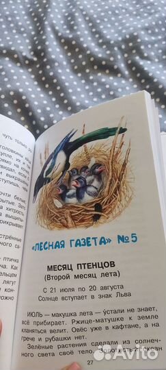 Внеклассное чтение