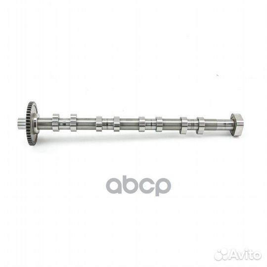 Распредвал VW passat(B6) AW06H01090022L dominant