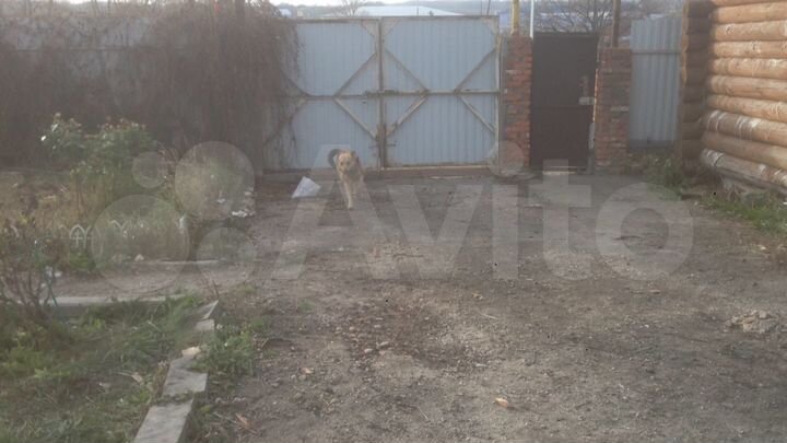 Дом 50 м² на участке 8 сот.