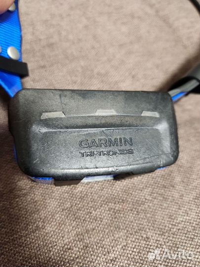 Ошейник Garmin T5 Америка