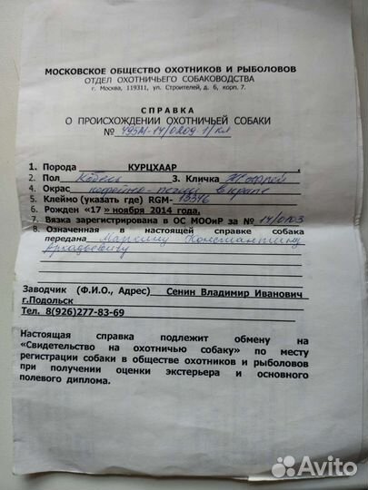 Курцхаар вязка