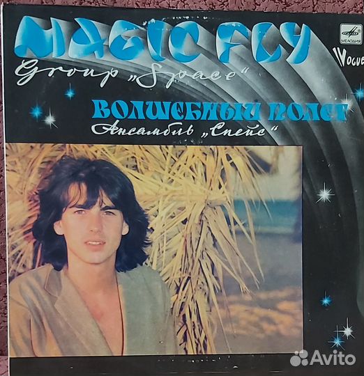 Виниловая пластинка