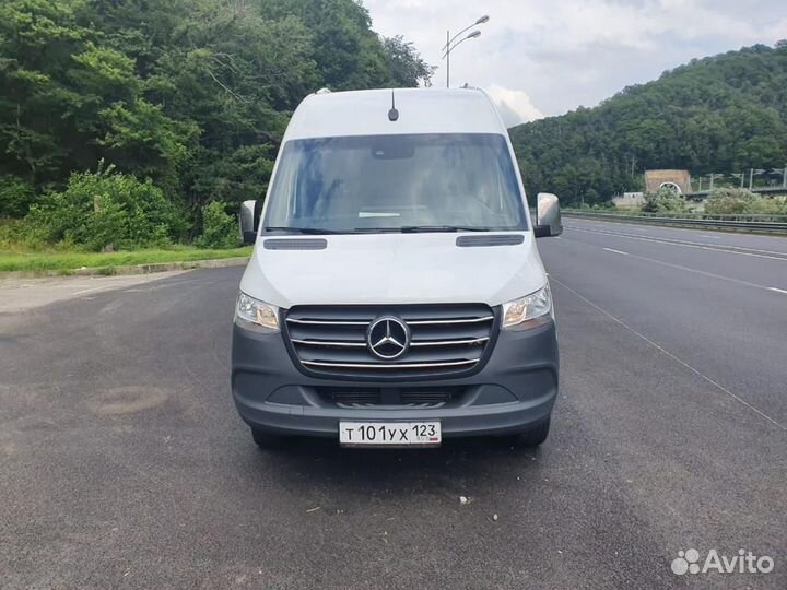 Обзорная по Сочи