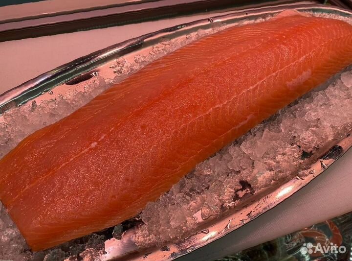 Лосось филе слабосолённый. Опт
