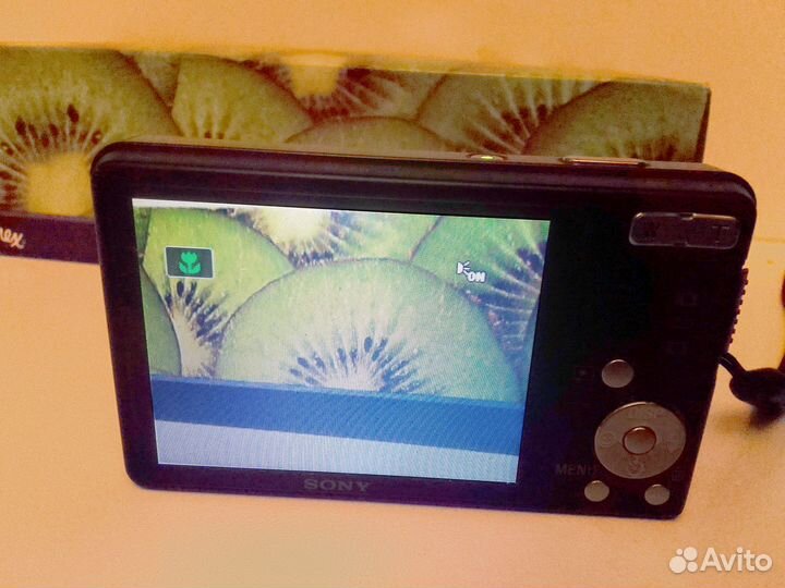 Фотоаппарат Sony Cyber-shot DSC-W350