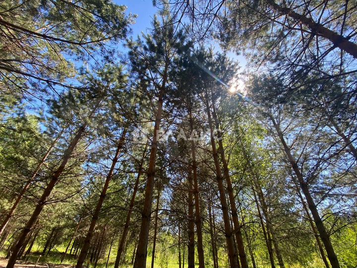 Участок 31 сот. (ИЖС)