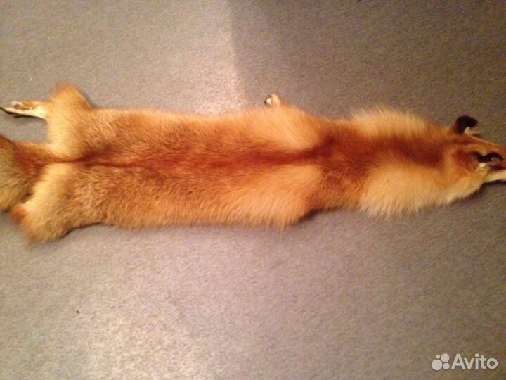 Шкуры лисы