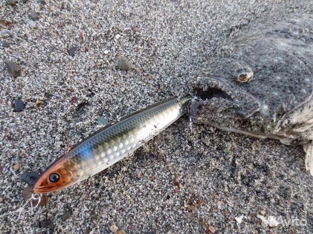 Eclipse Howeruler Zeo 95S (3 цвета). Оригинал