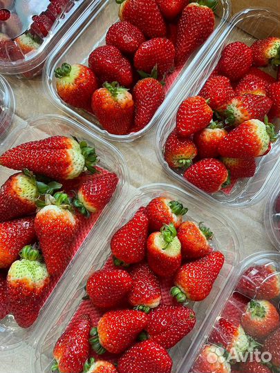 Клубника (Армения )