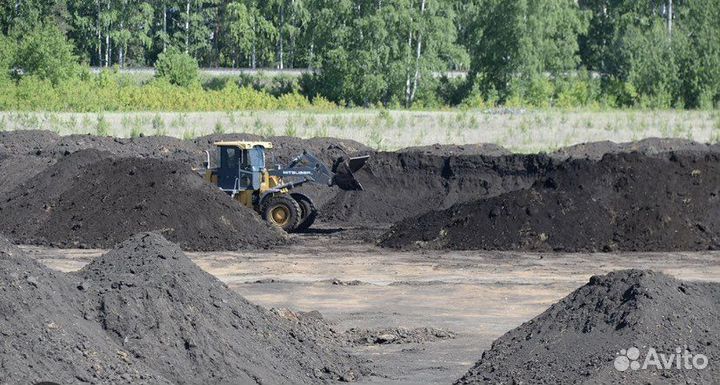 Земля чернозем