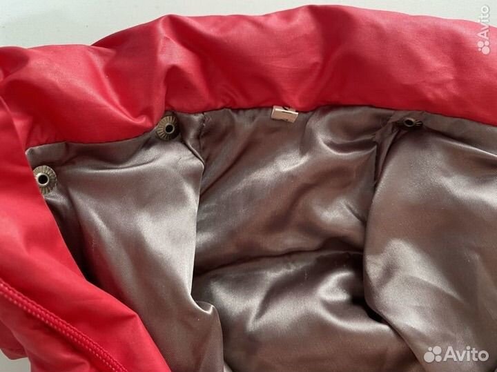 Одежда для собак