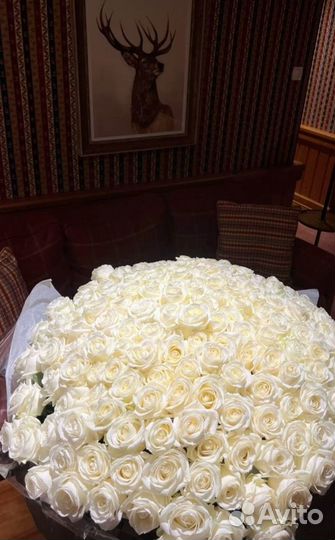 Розы с доставкой