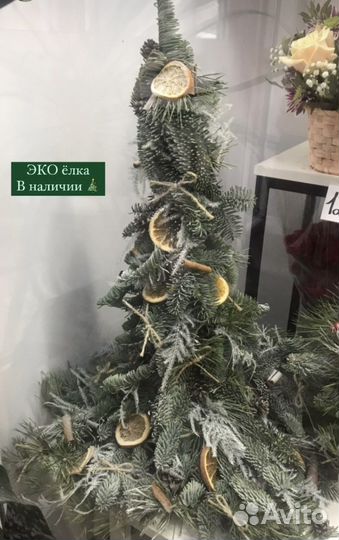 Елка из нобилис