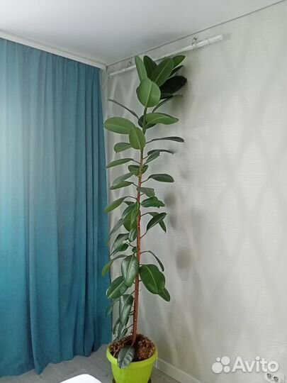 Офисный компактный большемер