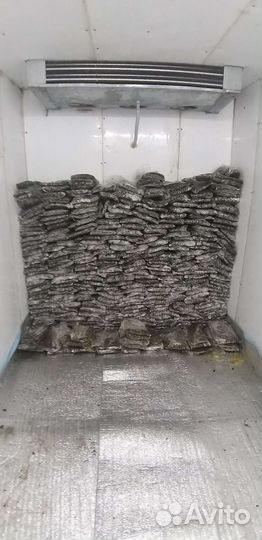 Свекольная ботва