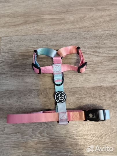 Амуниция для собак