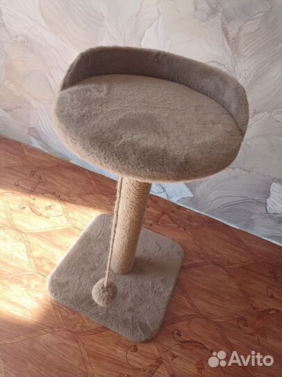 Когтеточка бу