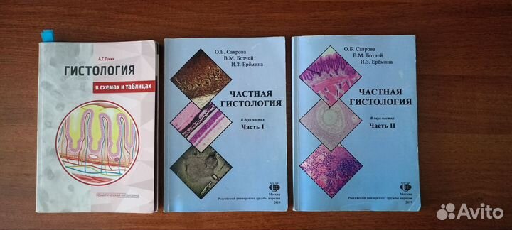 Гистология учебники