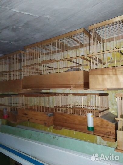 Клетки для птиц деревянные