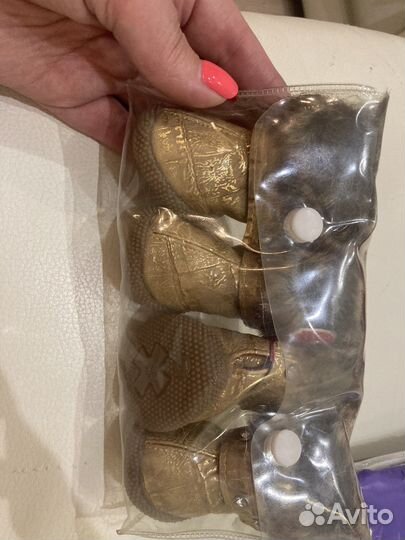 Обувь для собак мелких пород