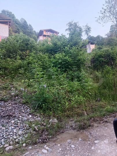 Участок 5 сот. (СНТ, ДНП)