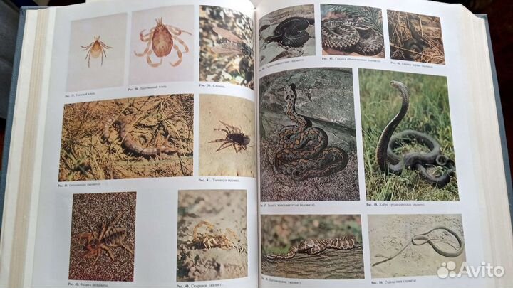 Медицинская энциклопедия СССР