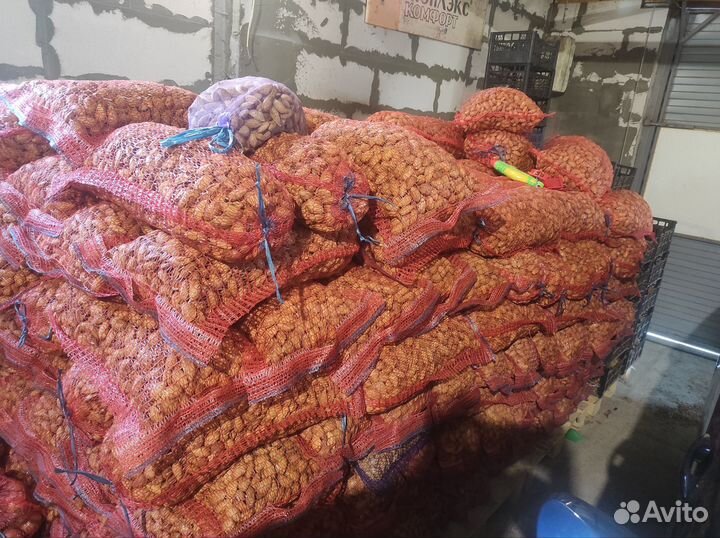 Растения