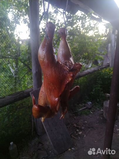 Домашнее копчение