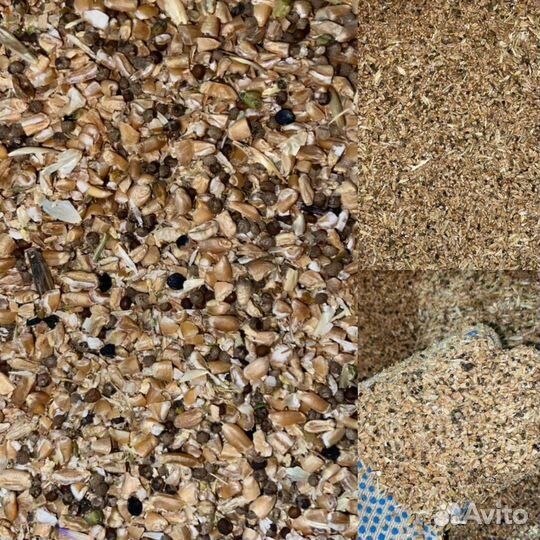 Зерноотход пшеницы