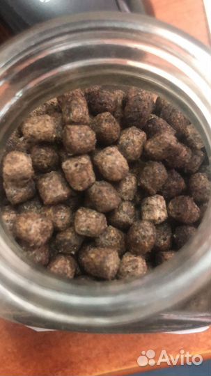 Корм для сома/карпа премиум 40\10