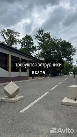 Официант в кафе