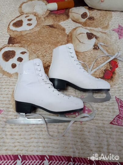 Коньки Nicole 230