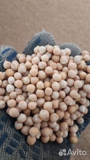 Нут в розницу