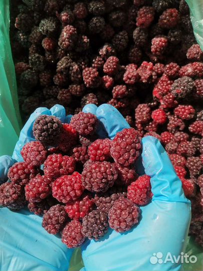 Ежемалина замороженная премиум - класса (целая)
