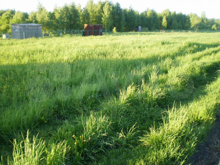 Участок 29,4 сот. (ИЖС)