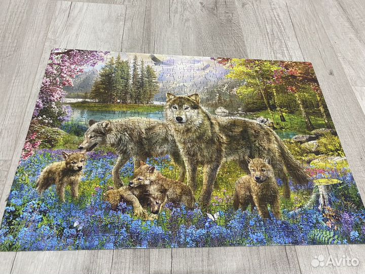 Пазлы 500 Семья волков