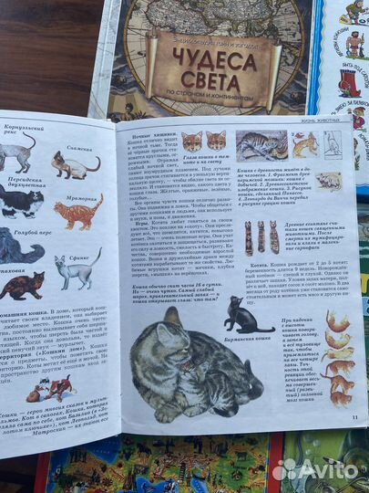 Детские и подростковые энциклопедии и книги