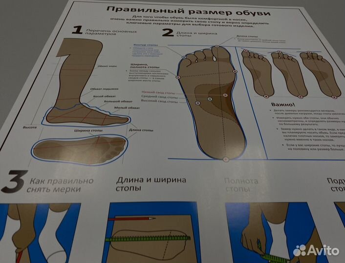 Плакат «Размер обуви» А1