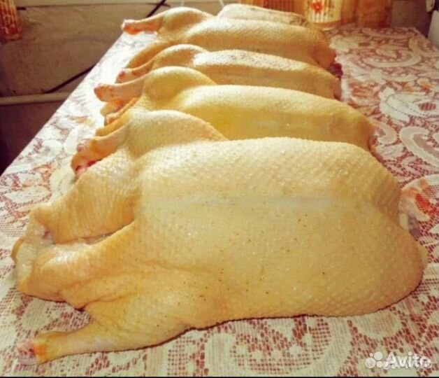 Мясо индоутки гуся