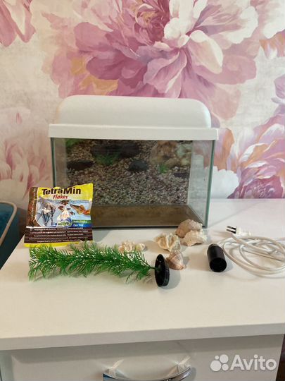 Аквариум