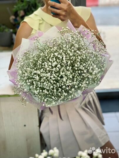 Гипсофила букетах цветы