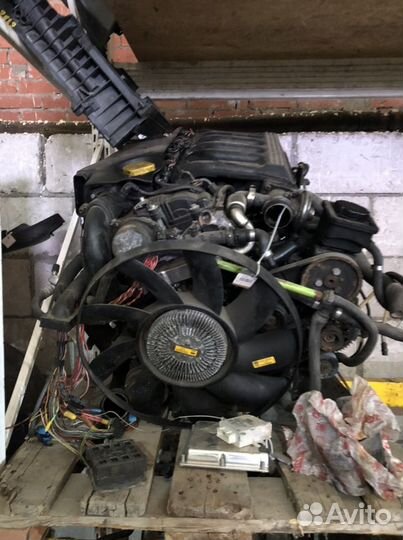 Моторы из европы